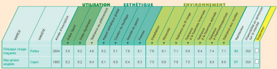 melange de gazon.PNG