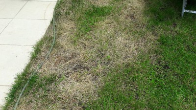 20180609_143918[1].jpg