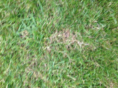IMG_1544.JPG