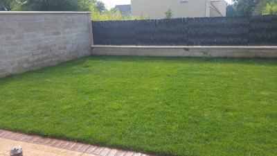 20180609_172059.jpg