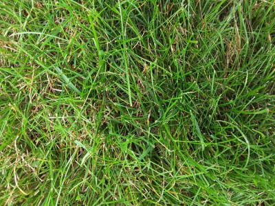 20180610_133535.jpg