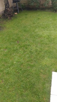 P_20180611_101722.jpg