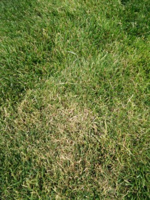 IMG_20180608_193822.jpg