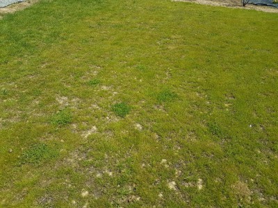 20180521_134125.jpg
