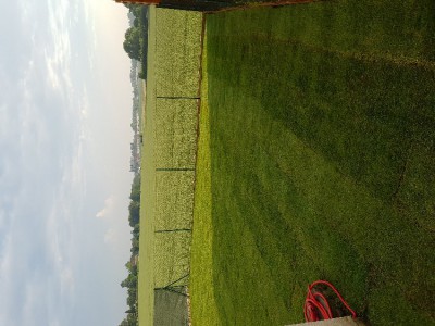 20180524_194928.jpg
