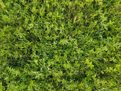 20180608_182515.jpg