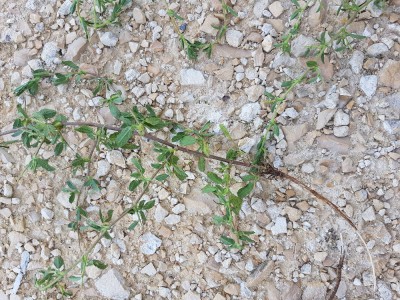 20180608_182321.jpg