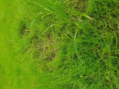 20180614_194317.jpg