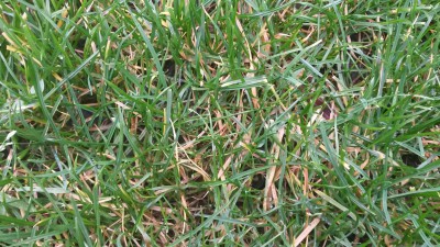 20160205_155916_resized_1.jpg