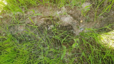 20180616_134106.jpg