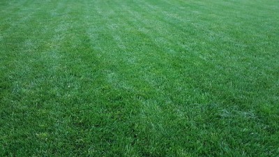 20180615_213419.jpg