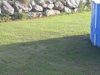 20180614_195947.jpg