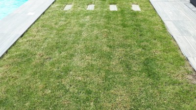20180618_145318.jpg
