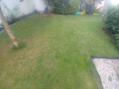 20180620_211313.jpg