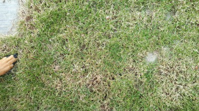 20180621_130542.jpg