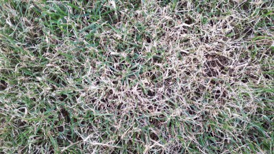 20180621_204850.jpg