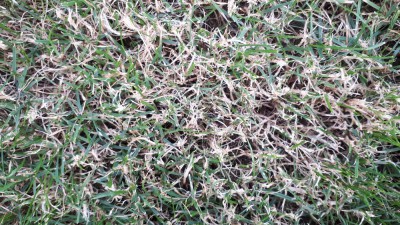 20180621_204835.jpg