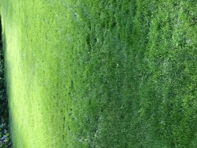 0AA6613D-5F12-41C7-AFAE-265EE9A7AFCB.jpeg