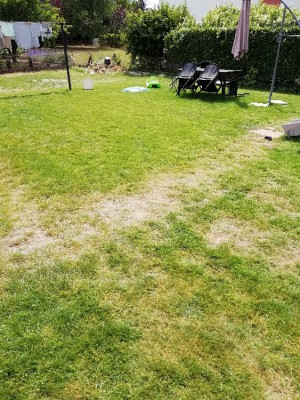 IMG_20180624_123413.jpg
