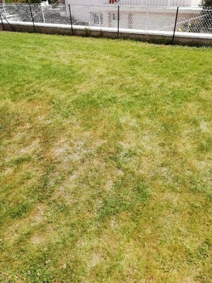IMG_20180624_123358.jpg