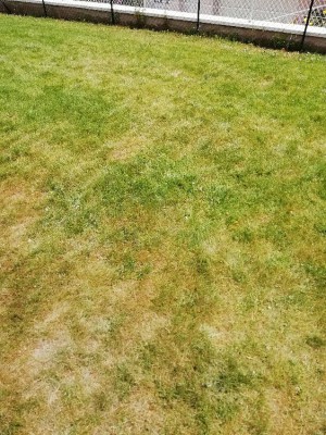 IMG_20180624_123348.jpg