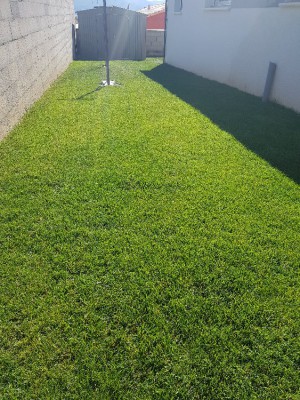 20180628_095456.jpg