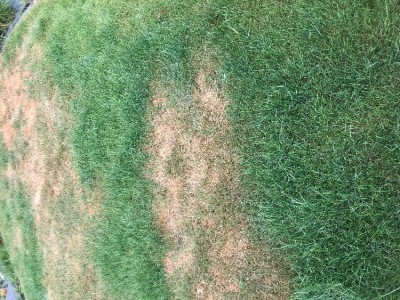45CEA084-BC85-4272-80AB-112D6D0CD40F.jpeg