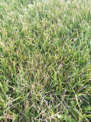 IMG_20180627_204405.jpg