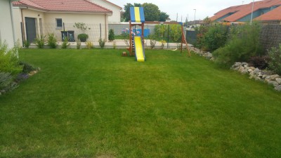 20180628_092500_30.jpg