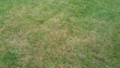 20180628_092521_30887.jpg