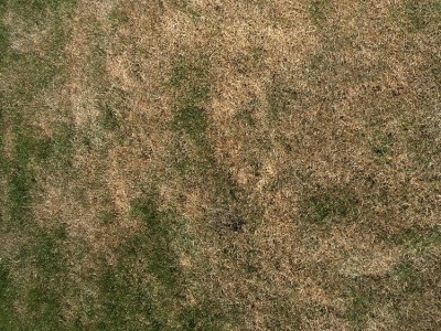 IMG_0728.JPG