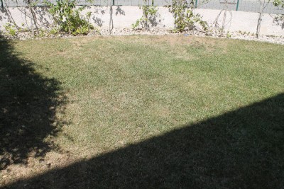 IMG_4447.JPG