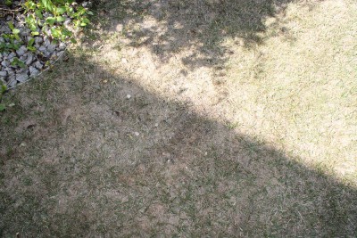 IMG_4450.JPG