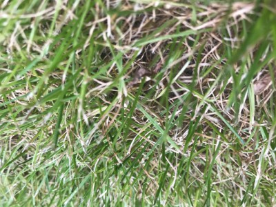 IMG_1653.JPG