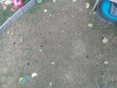 20180702_072927.jpg