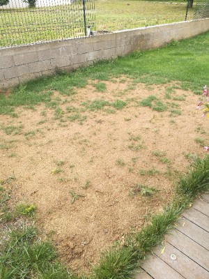 IMG_20180703_110327.jpg