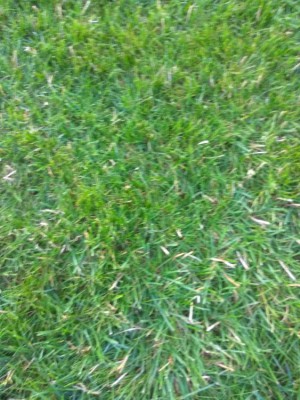 IMG_20180704_211805.jpg