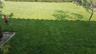 20180706_182613.jpg