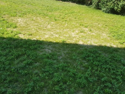 20180709_113636[1].jpg