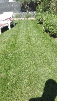 IMG_20180710_165015.jpg