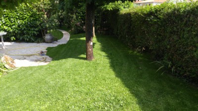 IMG_20180710_175207.jpg